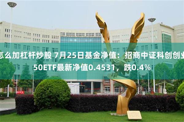 怎么加杠杆炒股 7月25日基金净值：招商中证科创创业50ETF最新净值0.4531，跌0.4%