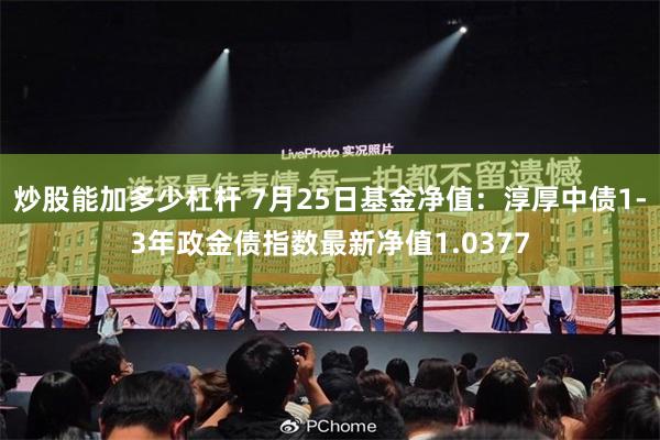 炒股能加多少杠杆 7月25日基金净值：淳厚中债1-3年政金债指数最新净值1.0377