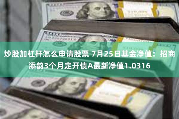 炒股加杠杆怎么申请股票 7月25日基金净值：招商添韵3个月定开债A最新净值1.0316