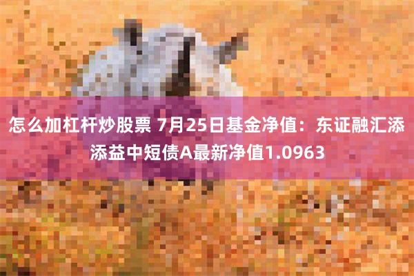 怎么加杠杆炒股票 7月25日基金净值：东证融汇添添益中短债A最新净值1.0963