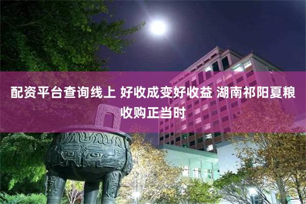 配资平台查询线上 好收成变好收益 湖南祁阳夏粮收购正当时