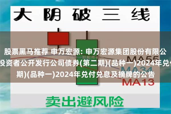 股票黑马推荐 申万宏源: 申万宏源集团股份有限公司2023年面向专业投资者公开发行公司债券(第二期)(品种一)2024年兑付兑息及摘牌的公告