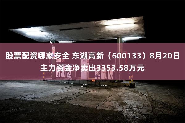 股票配资哪家安全 东湖高新（600133）8月20日主力资金净卖出3353.58万元