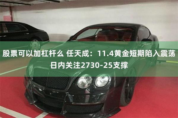 股票可以加杠杆么 任天成：11.4黄金短期陷入震荡日内关注2730-25支撑